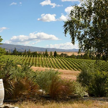 Grey Ridge Vineyard Experience Bed & Breakfast Alexandra Dış mekan fotoğraf