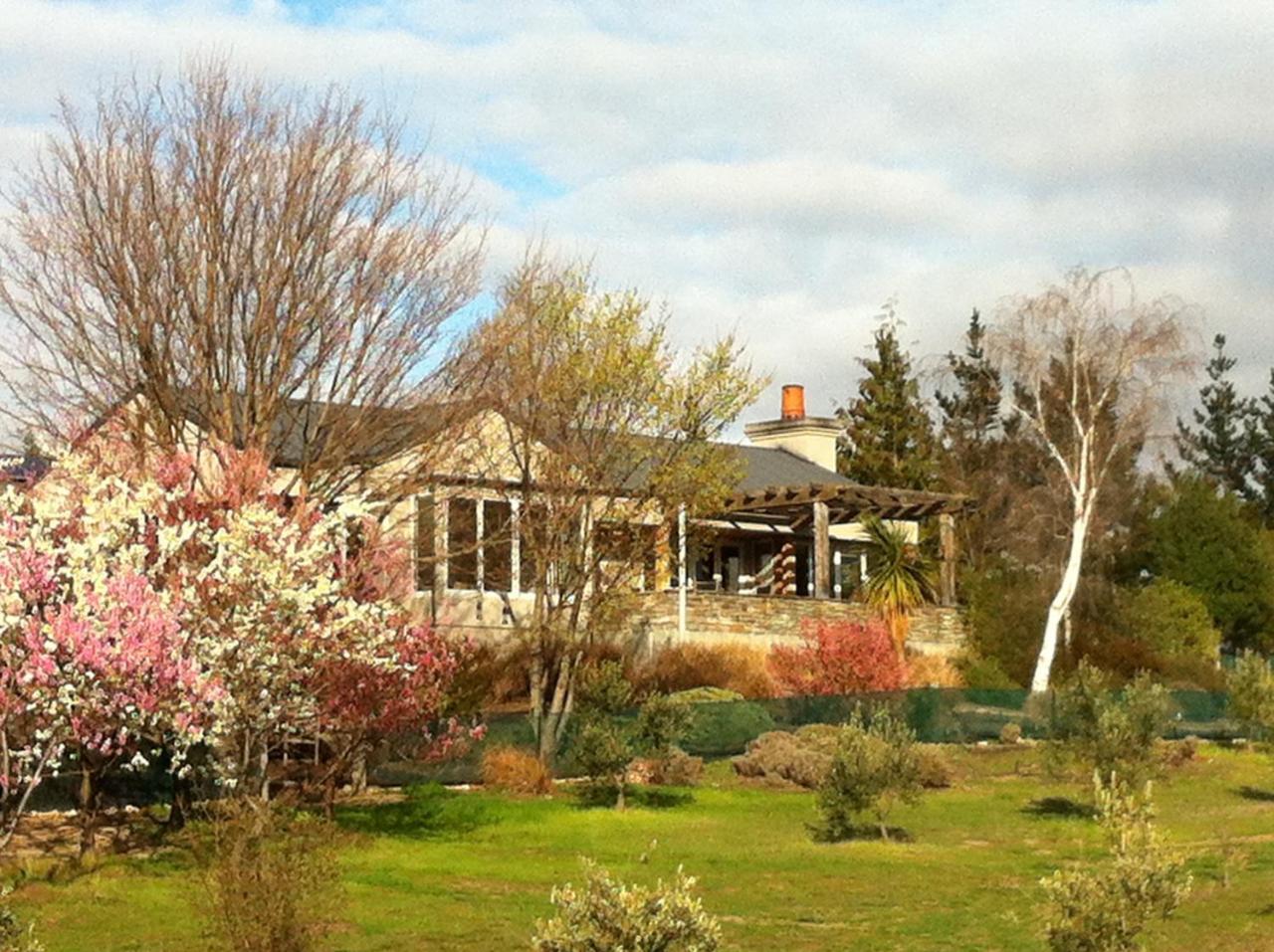 Grey Ridge Vineyard Experience Bed & Breakfast Alexandra Dış mekan fotoğraf