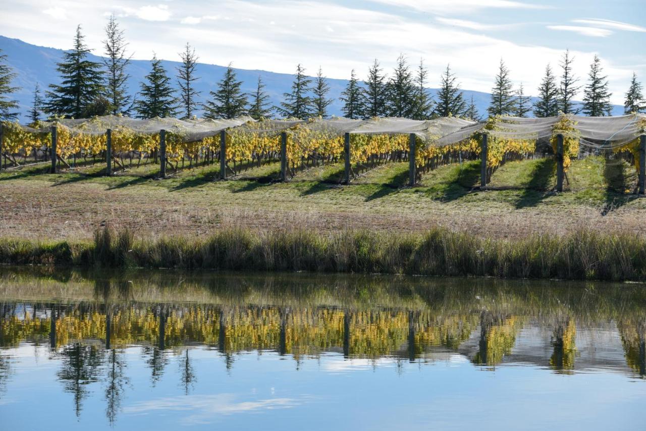 Grey Ridge Vineyard Experience Bed & Breakfast Alexandra Dış mekan fotoğraf