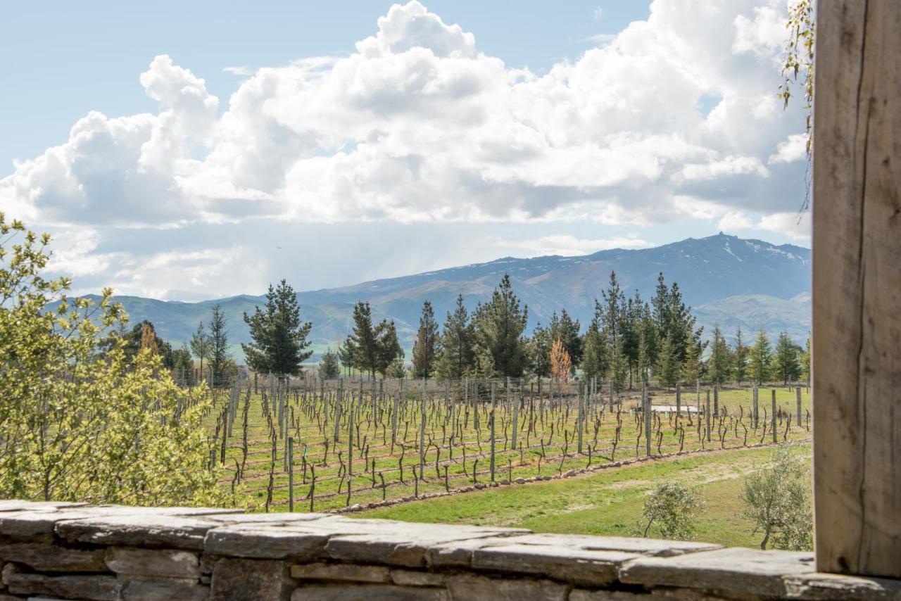 Grey Ridge Vineyard Experience Bed & Breakfast Alexandra Dış mekan fotoğraf