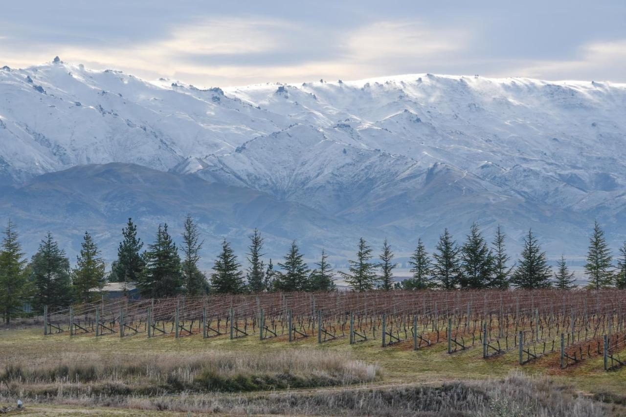 Grey Ridge Vineyard Experience Bed & Breakfast Alexandra Dış mekan fotoğraf